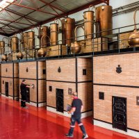Destilación Brandy de Jerez